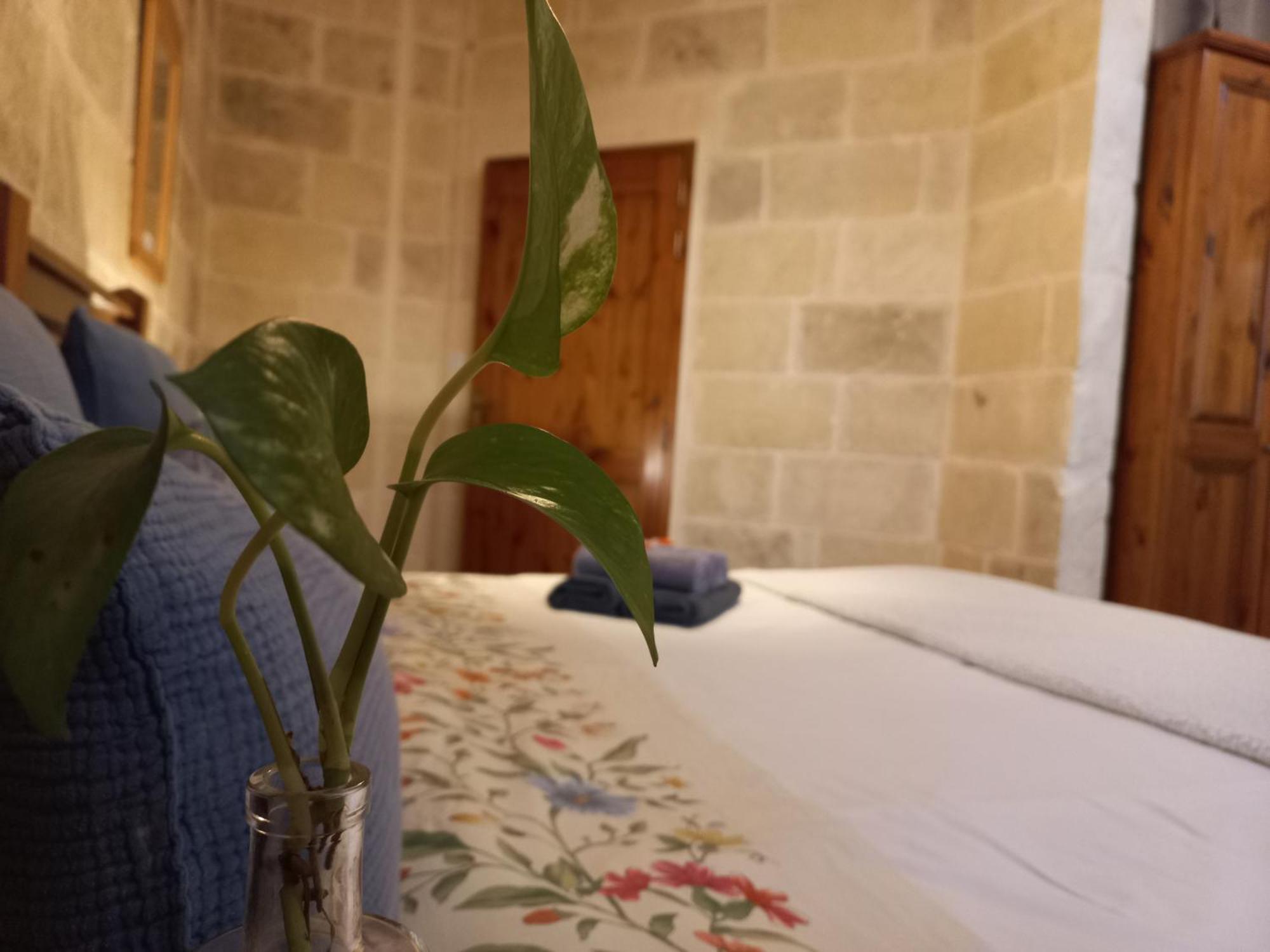 Laremi Gozo B&B In-In-Nadur Extérieur photo