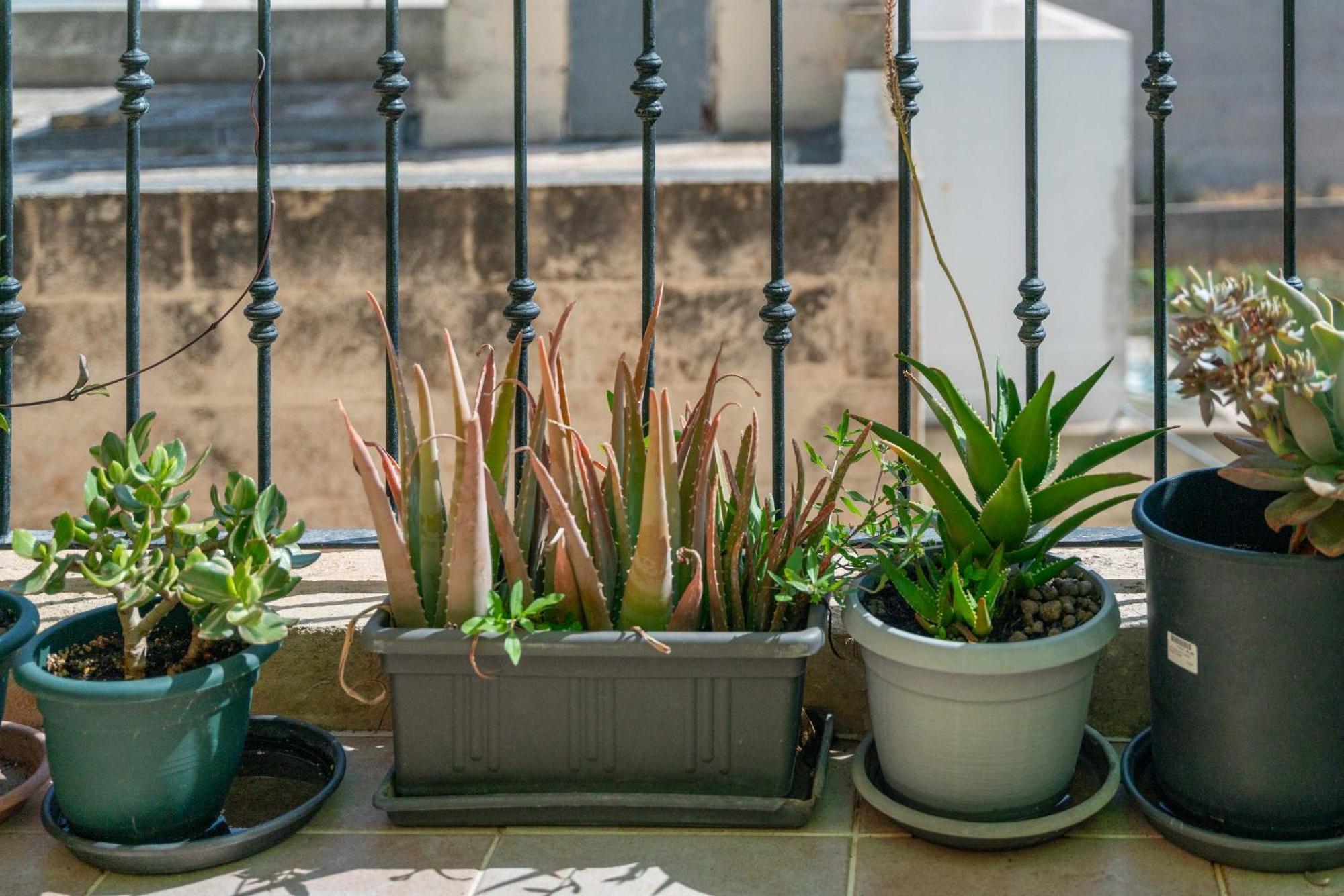 Laremi Gozo B&B In-In-Nadur Extérieur photo